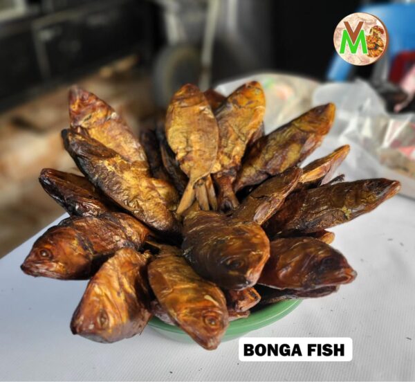 Bonga Fish